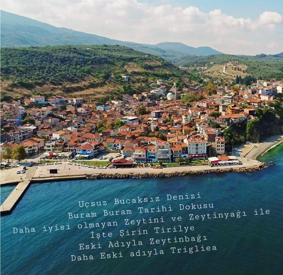 WhatsApp-Image-2024-05-26-at-17.01.38-1-1